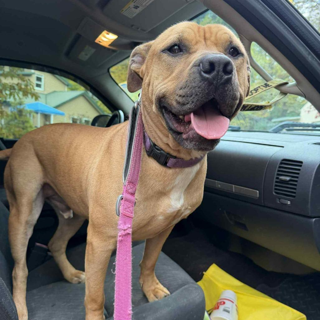 Lynyrd Skynrd thumbnail 5