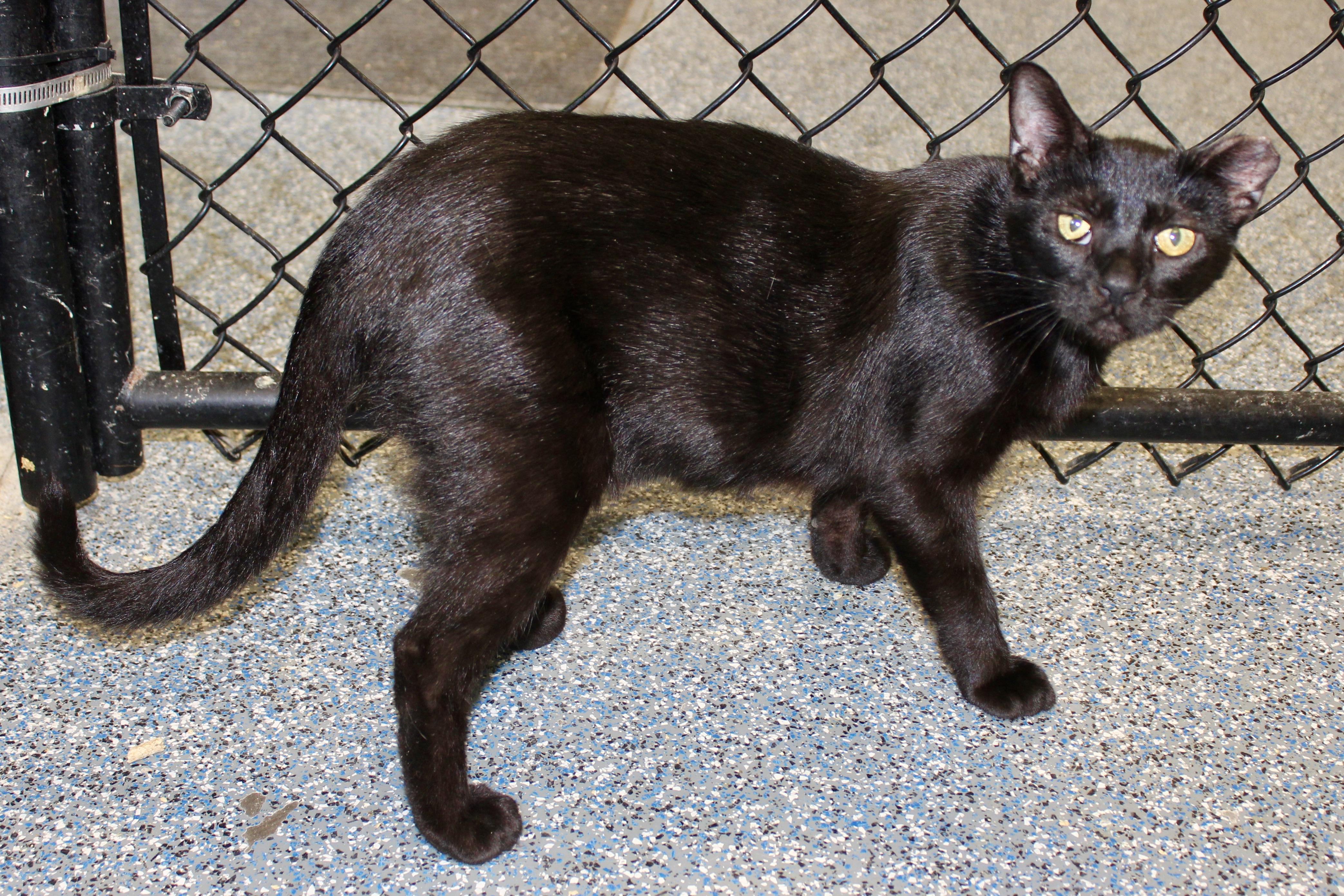 BIELE — thumbnail 2