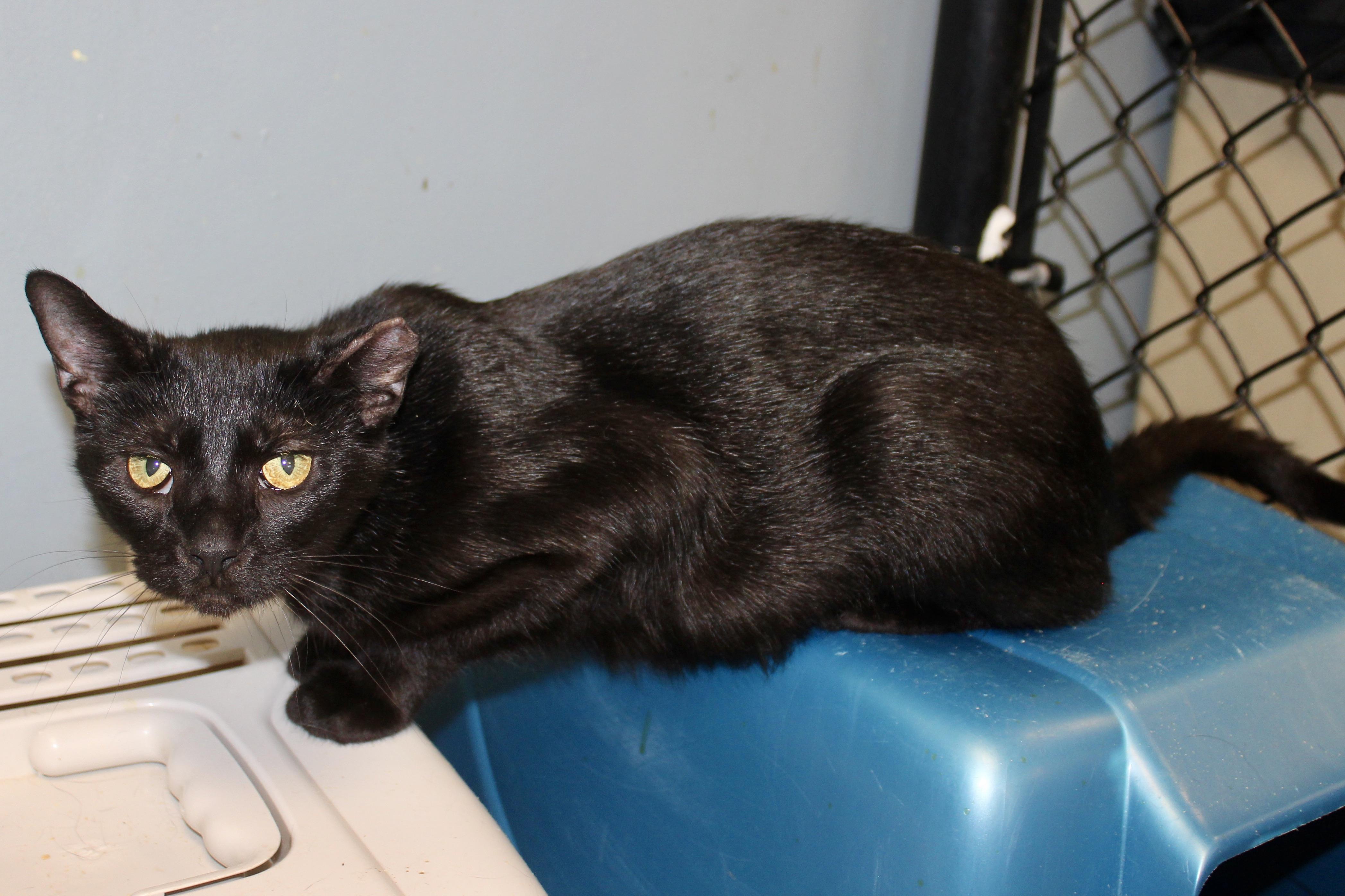 BIELE — thumbnail 4