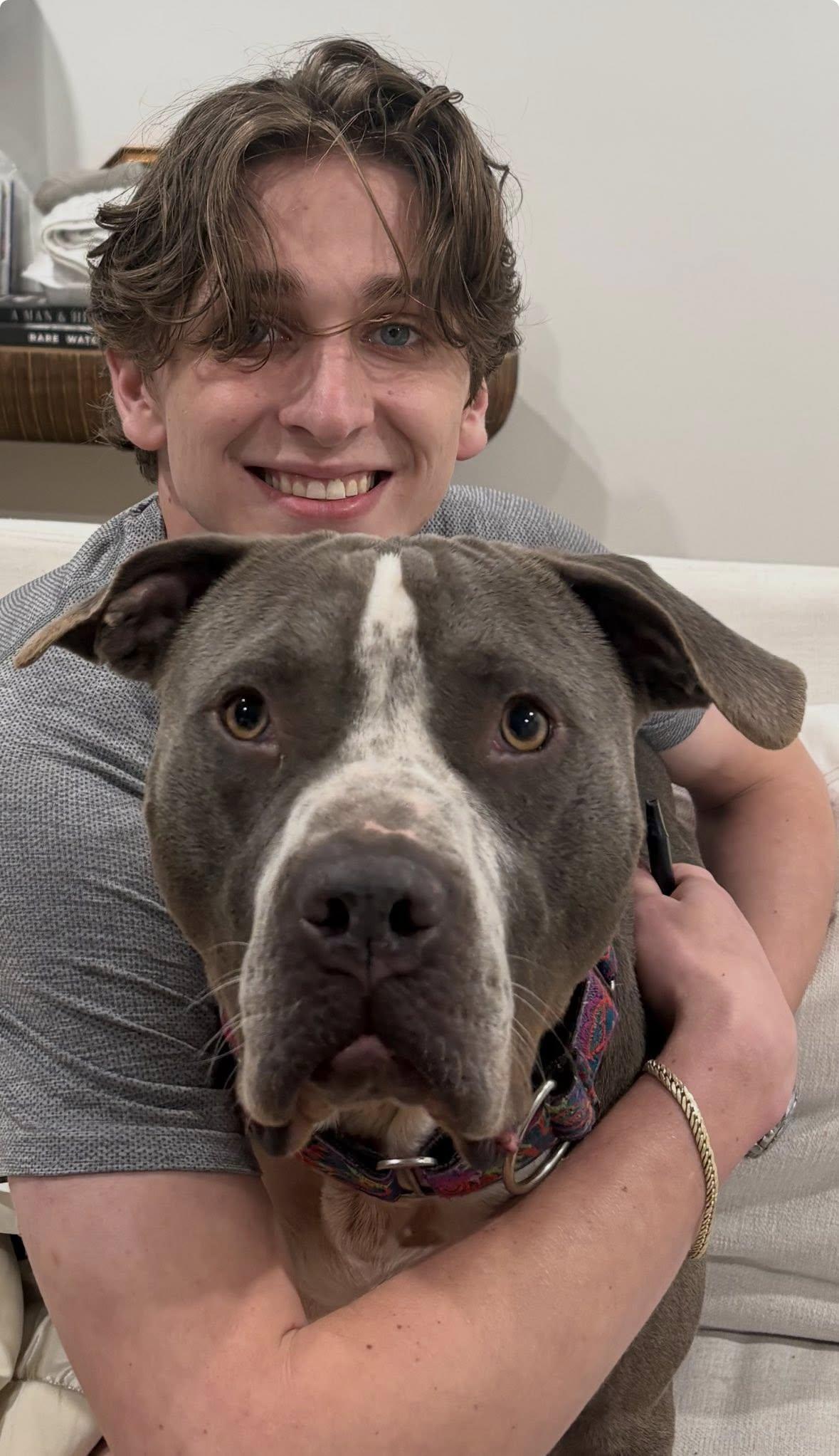 Rocco, a Adoptable Pit Bull Terrier in Lafayette, LA image 2/6