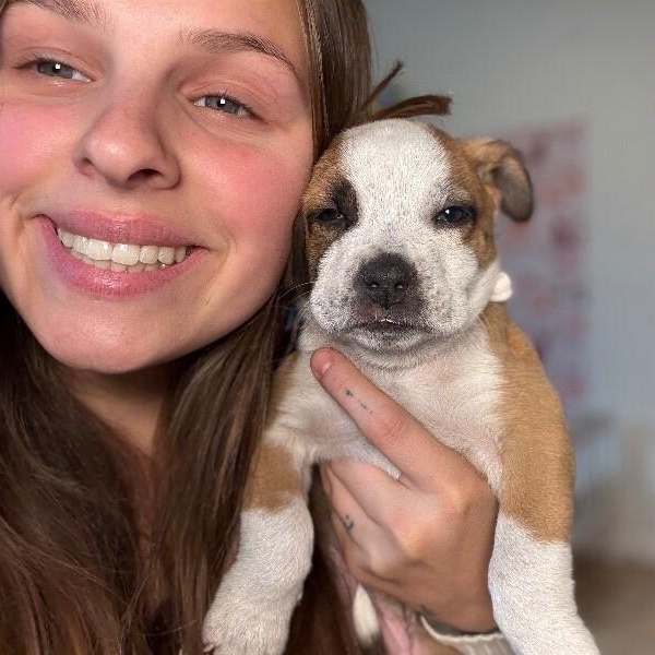 Diamond Dewdrop Perla — thumbnail 4