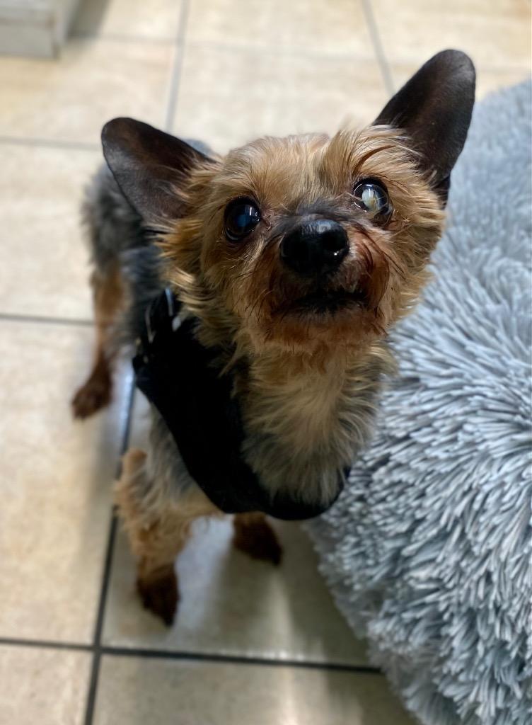 Frederick thumbnail 2