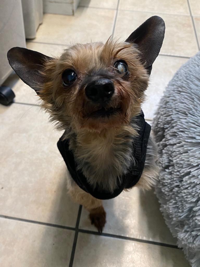 Frederick thumbnail 3