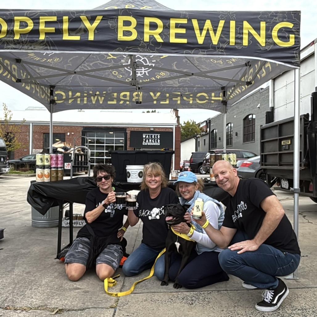 Black Jack, a Adoptable mixed breed in Smithfield, NC image 5/6