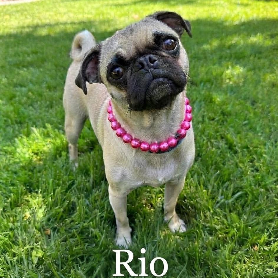 Rio photo