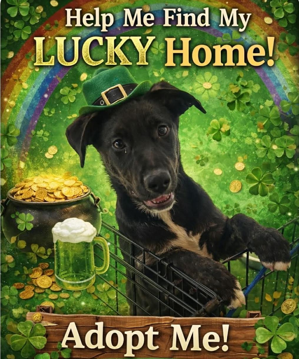 Faye Valentine — thumbnail 2