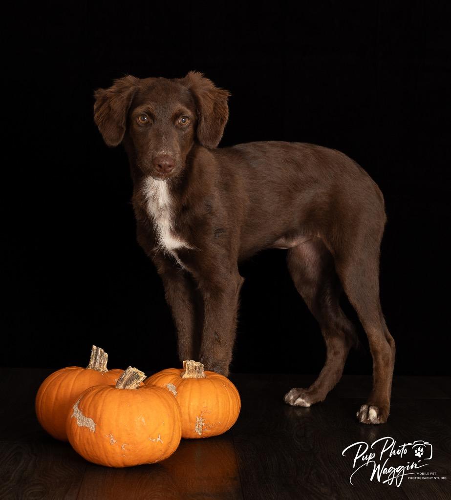 Josephine “Joey” photo