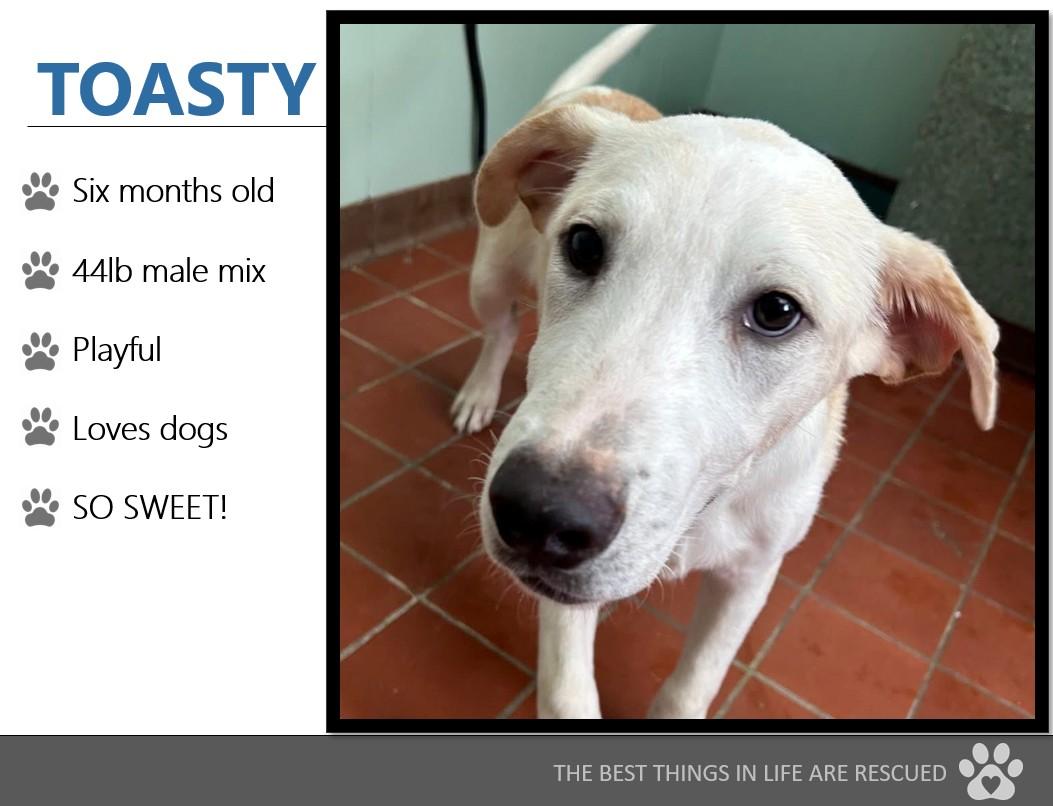 Foster TOASTY!
