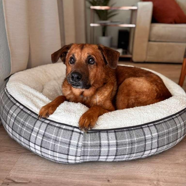 Conway — thumbnail 2