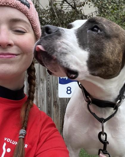 Pinky Promise, a Adoptable mixed breed in Washington, DC image 3/3