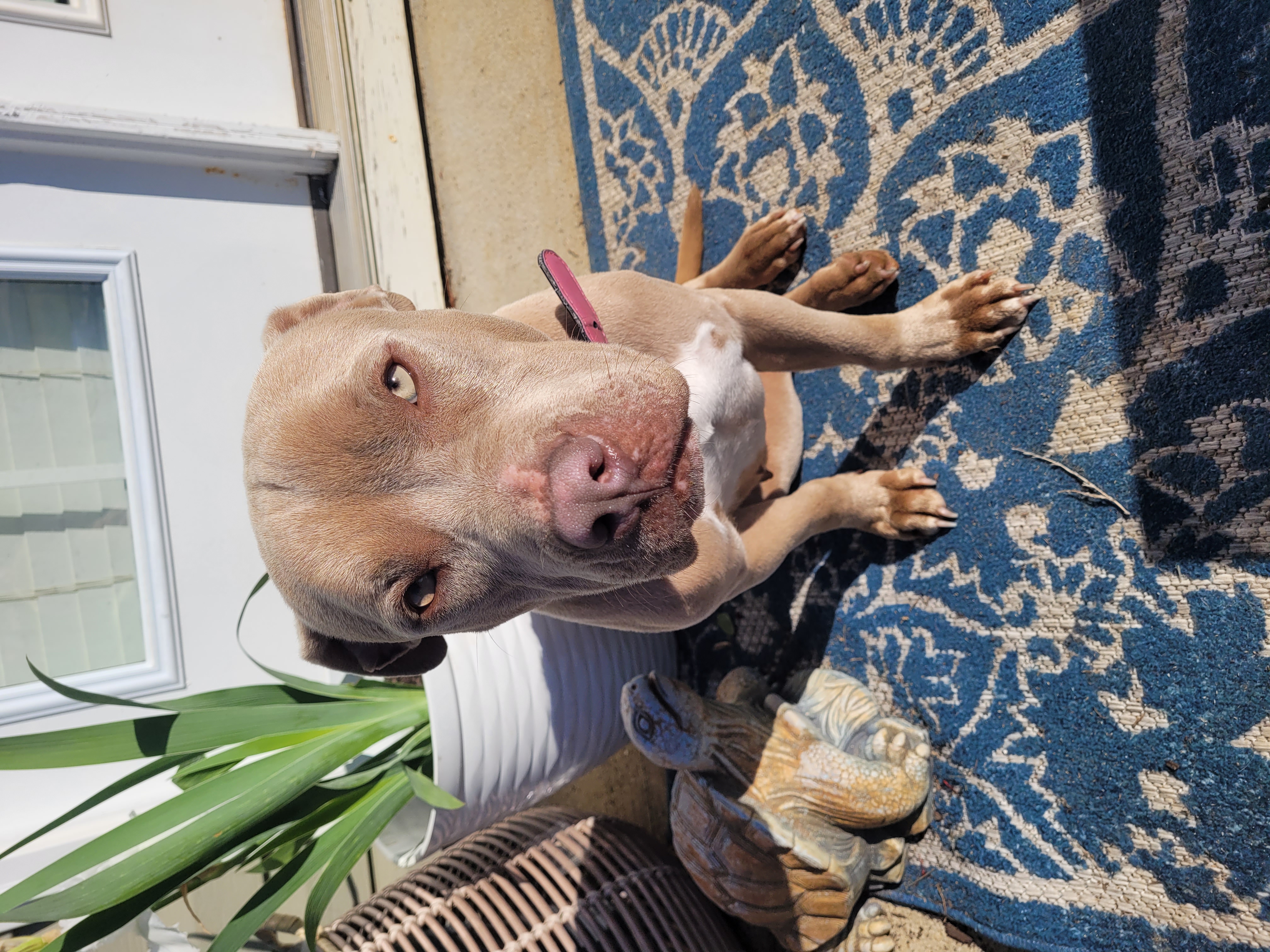 Courtesy Listing- Honey