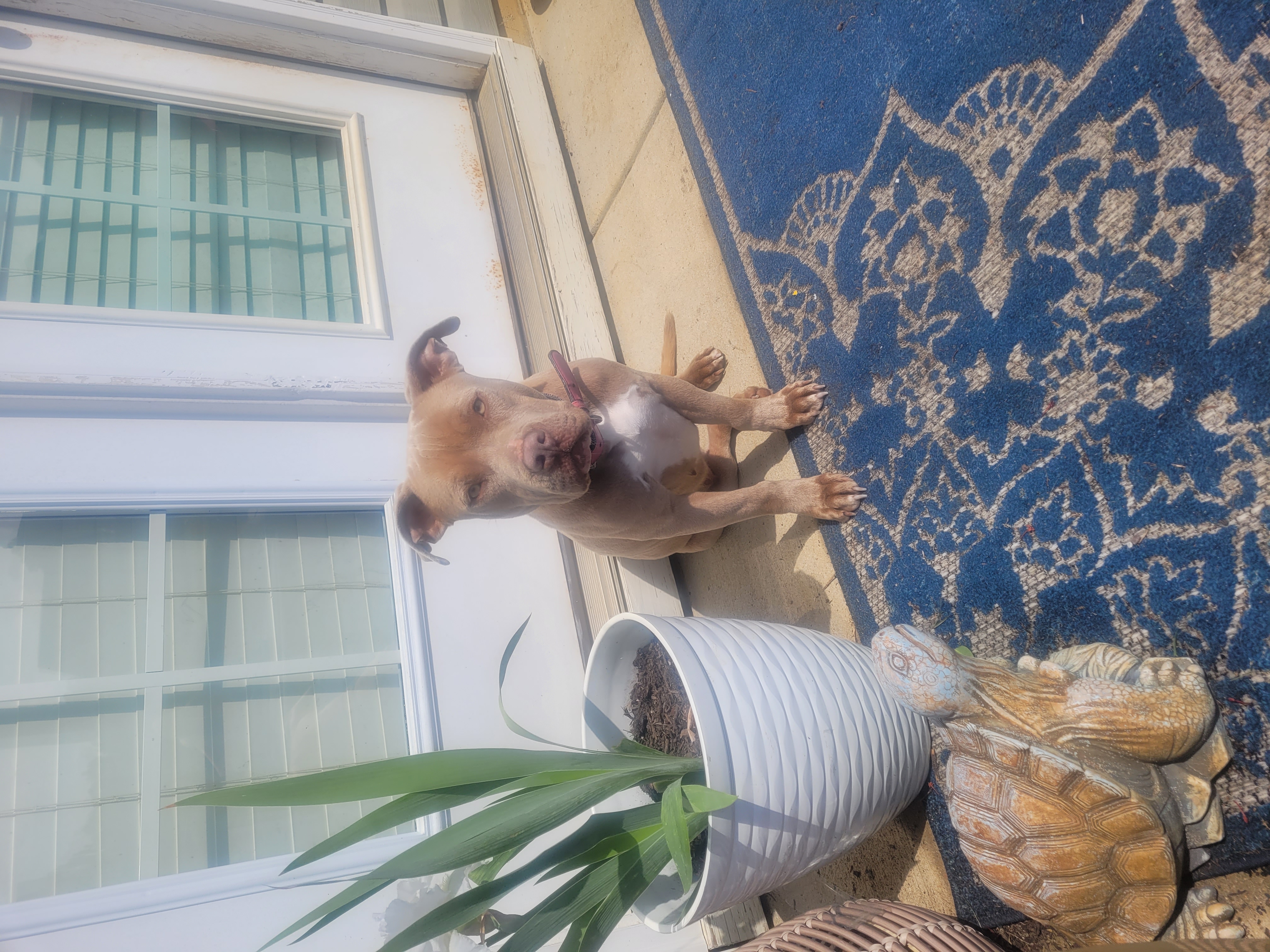 Courtesy Listing- Honey