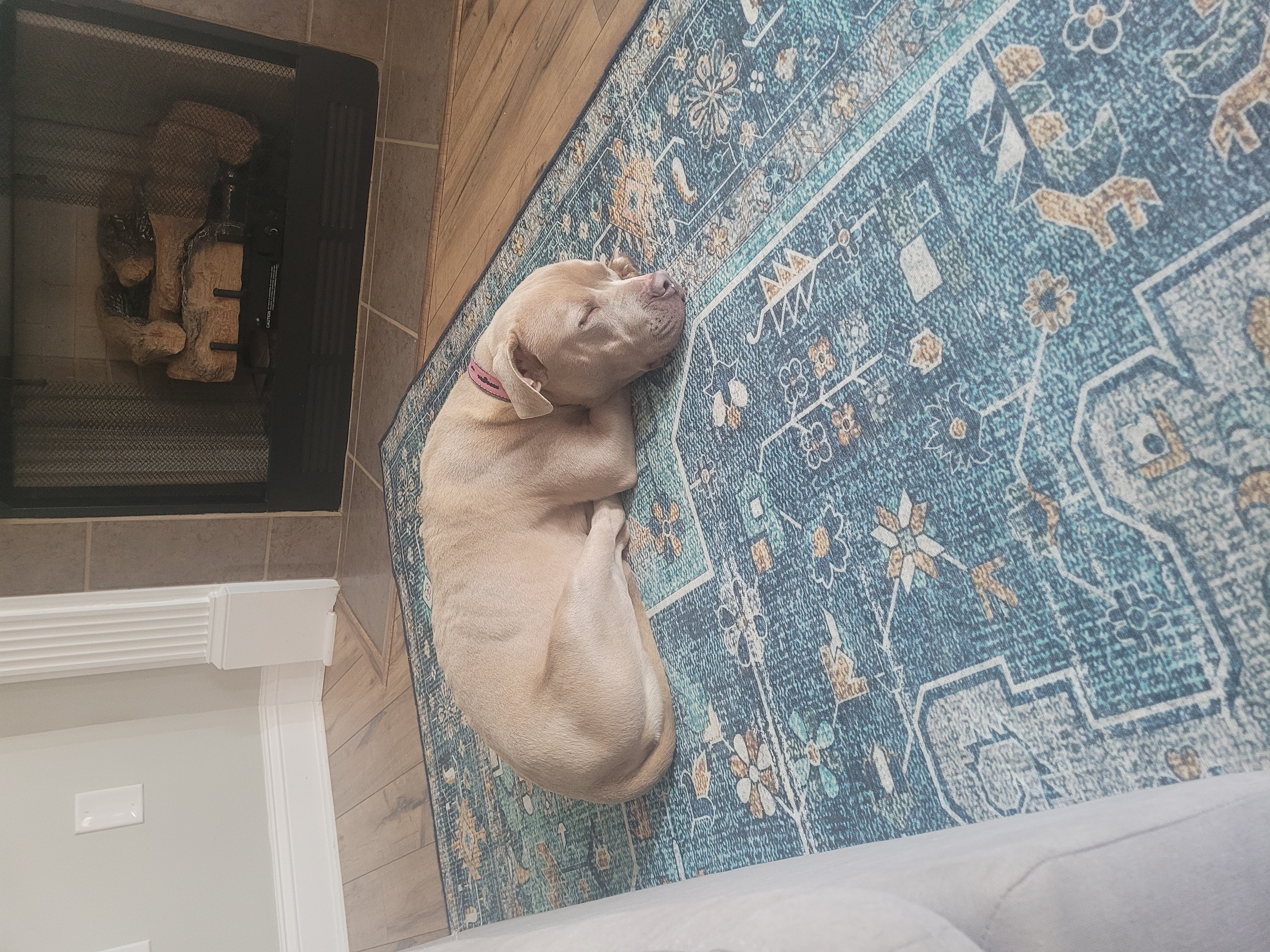 Courtesy Listing- Honey