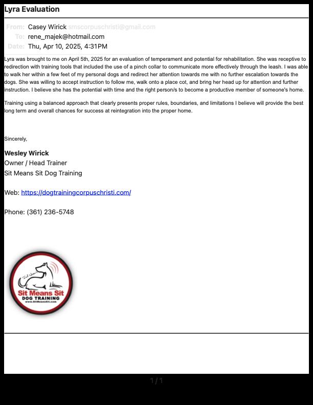 Enlarge Lyra, a Adoptable American Bully in Corpus Christi, TX image 5/5