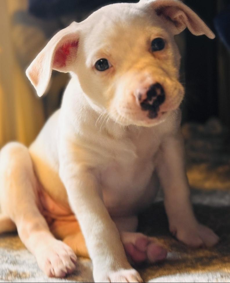 Photo of Porscha