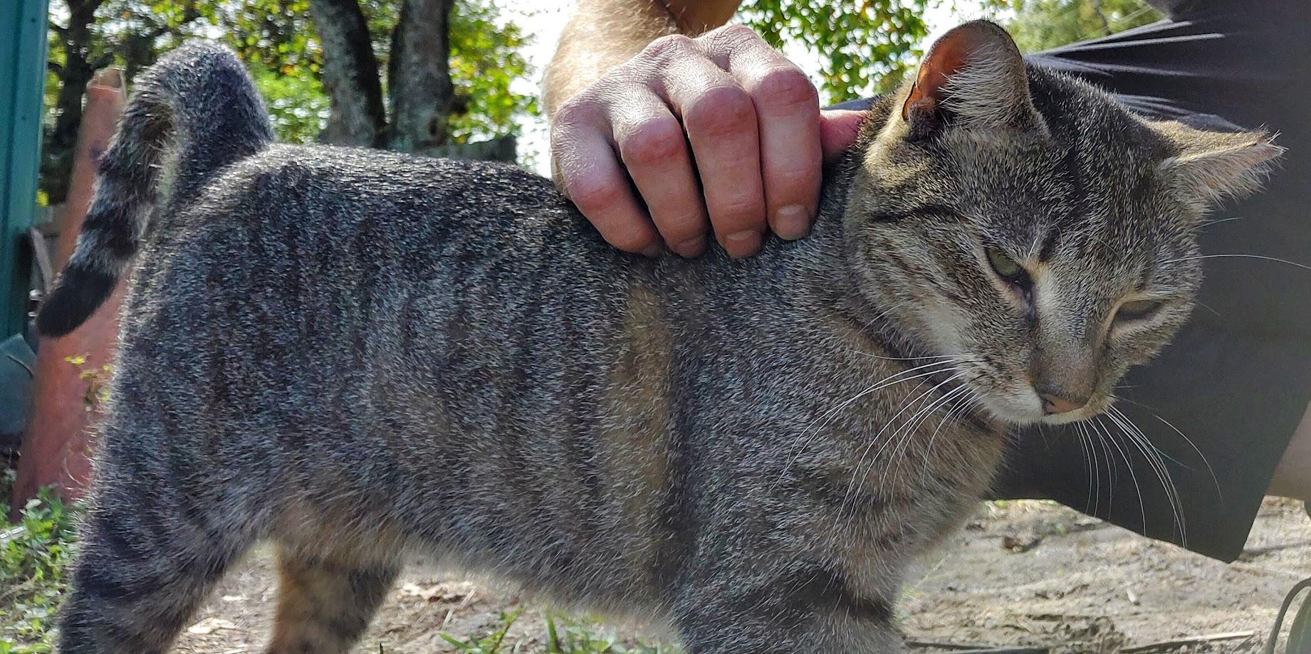 ~ Courtesy ~ Tabitha 2