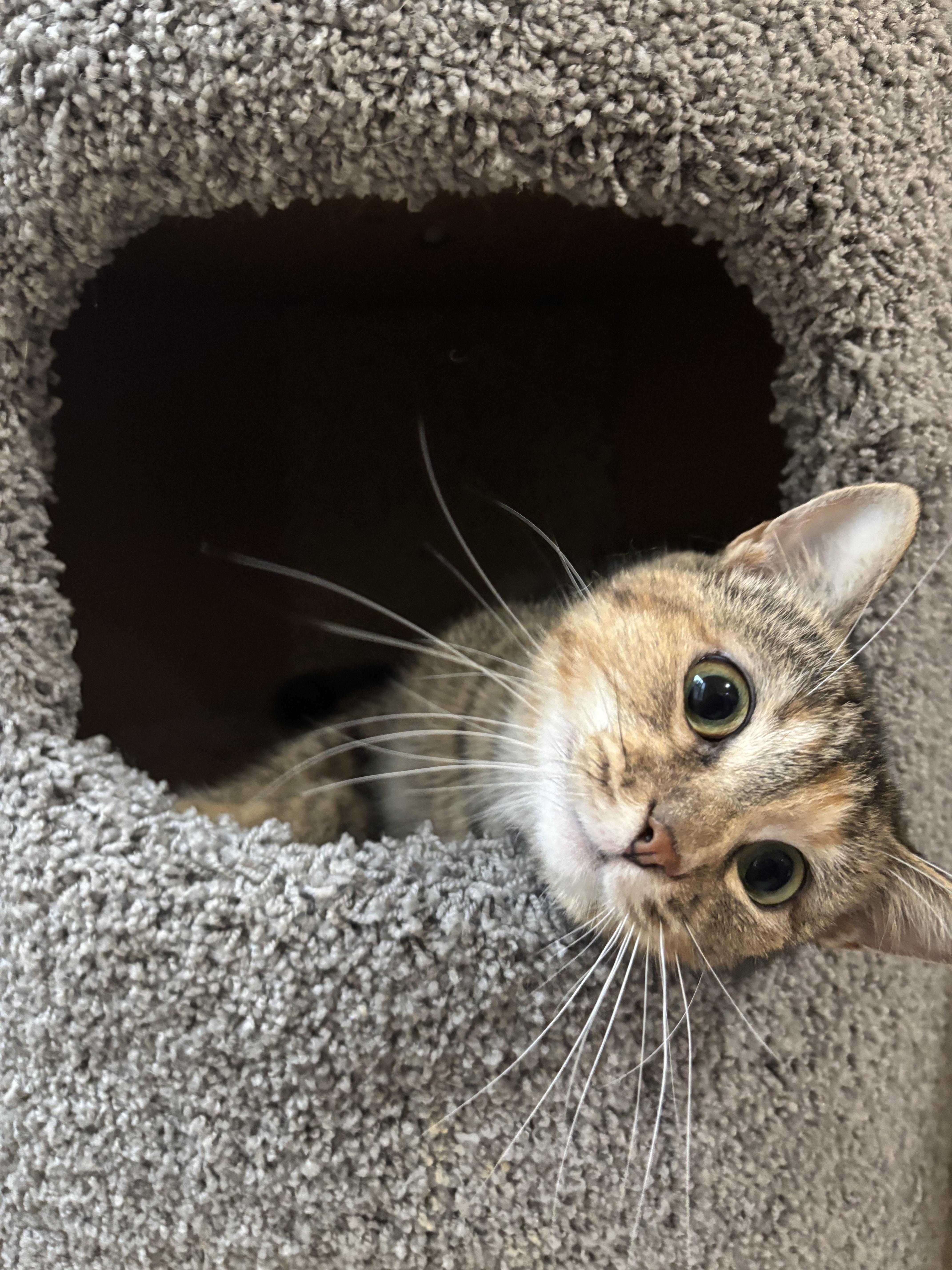 Autumn - YOU WILL FALL IN LOVE WITH HER!