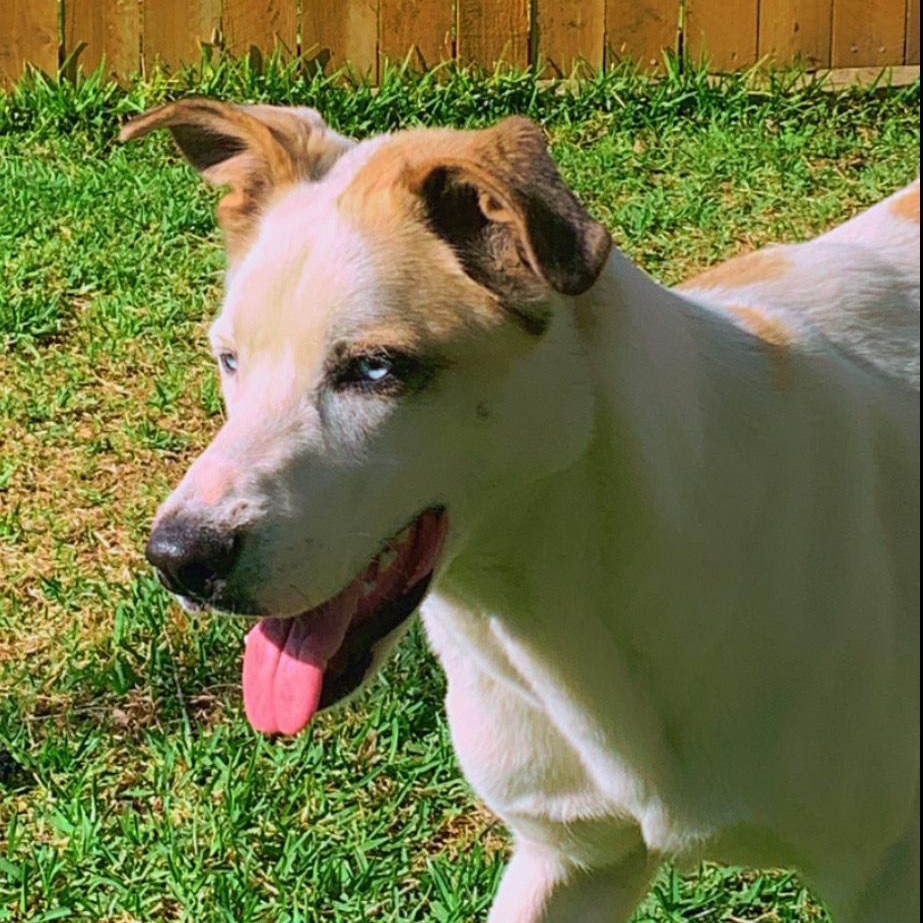 Journey — thumbnail 3