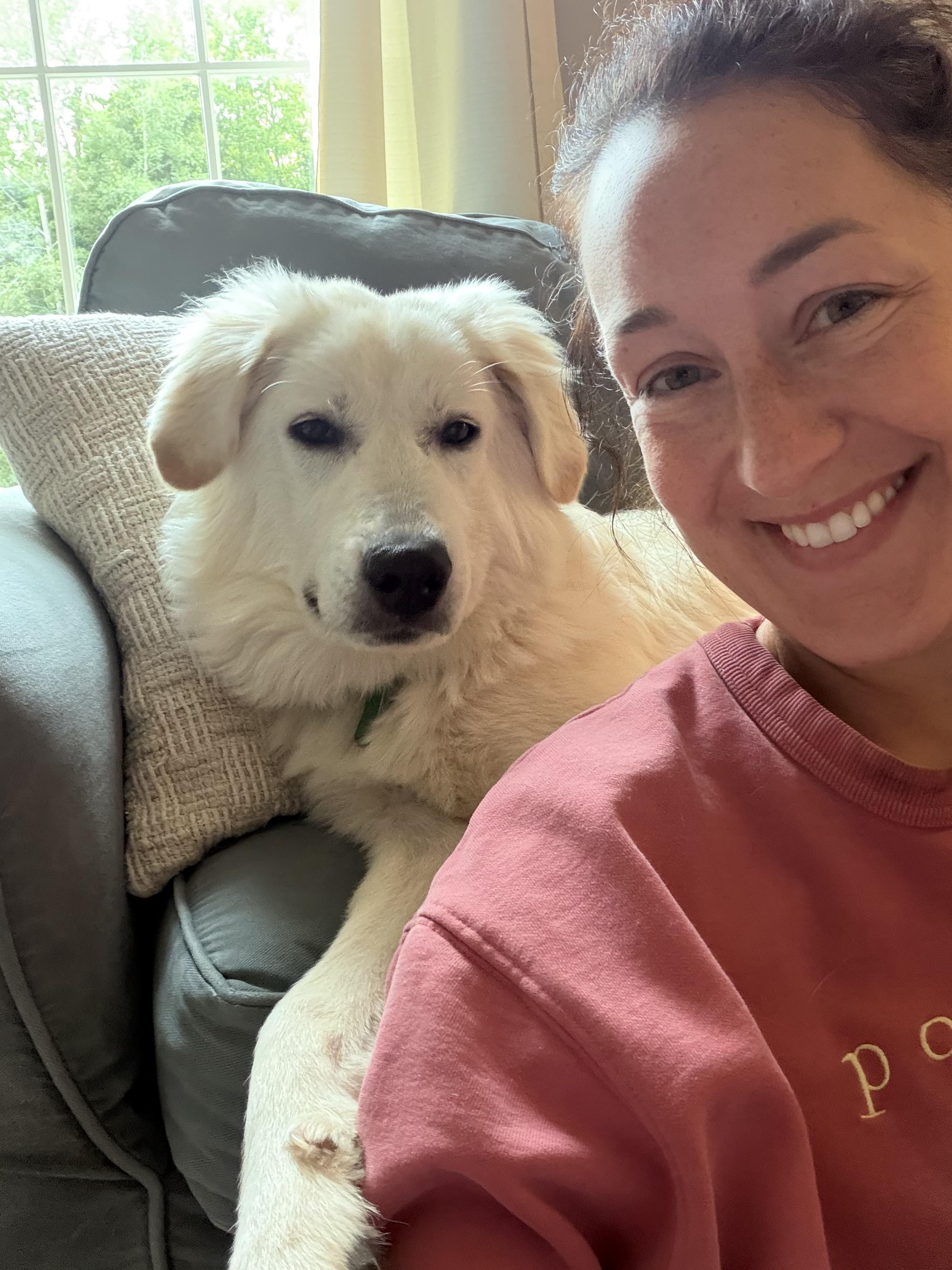 Enlarge Hellen, a Adopted Great Pyrenees in Bowdoin, ME image 2/6