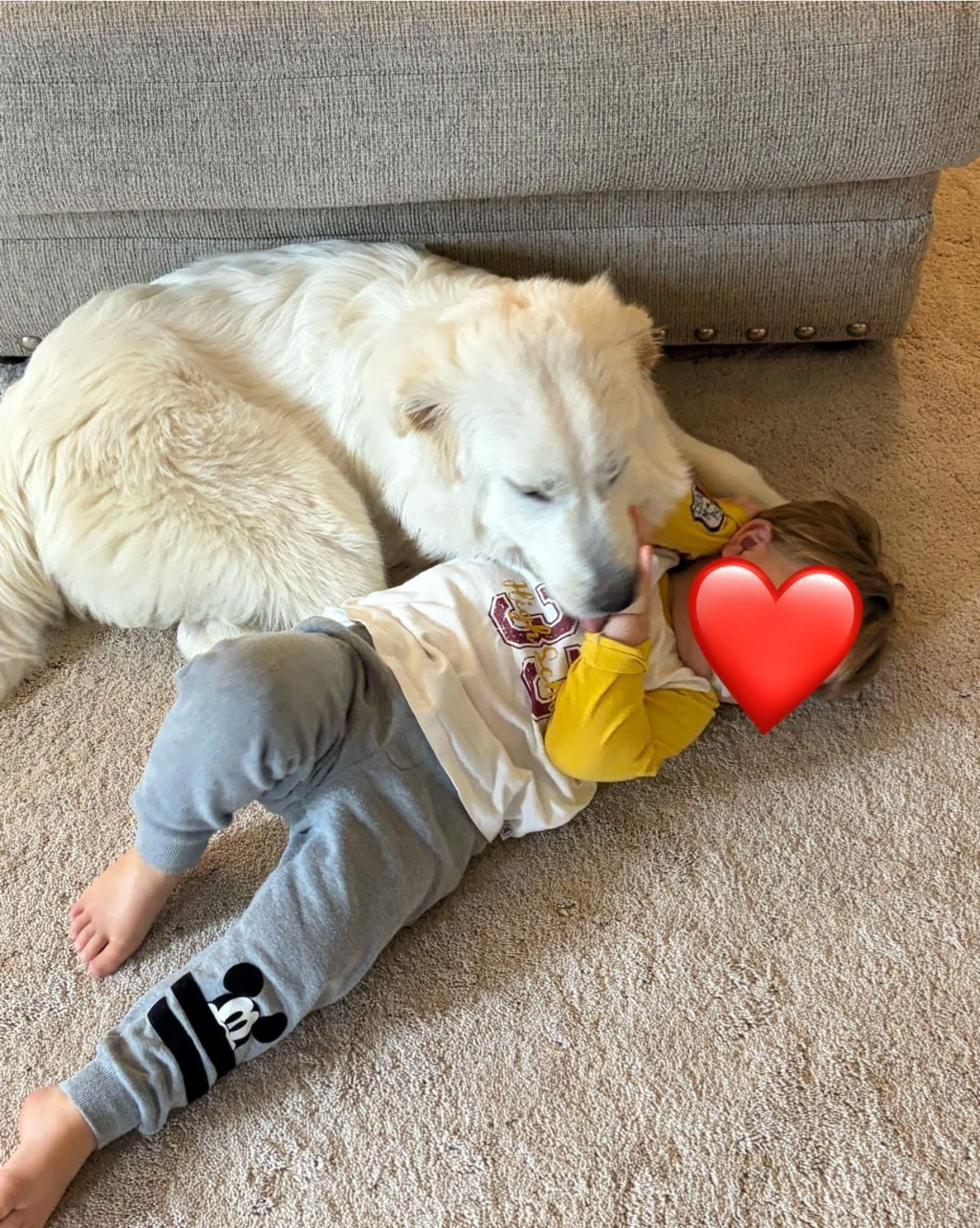 Enlarge Hellen, a Adopted Great Pyrenees in Bowdoin, ME image 5/6