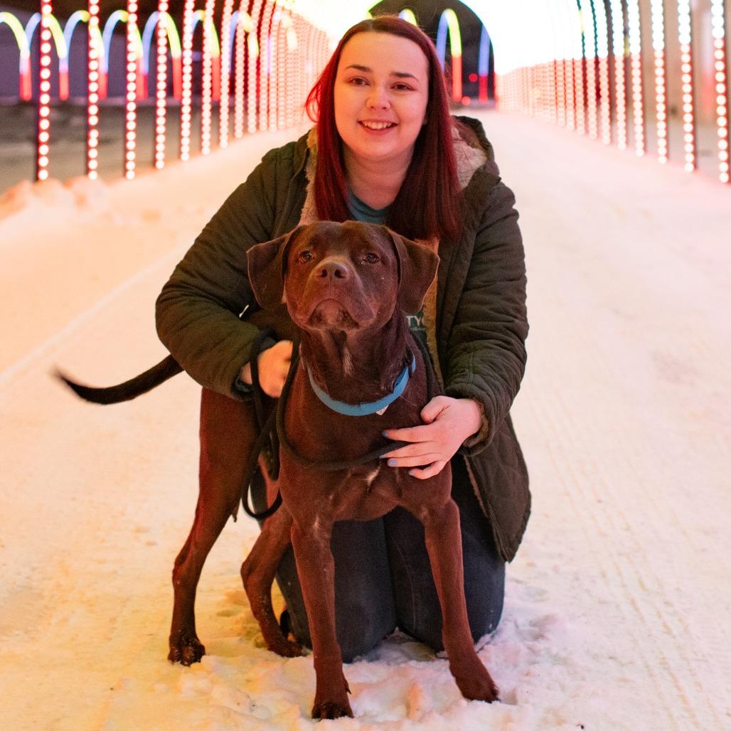 Enlarge CJ, a Adoptable Mixed Breed in Grand Rapids, MI image 3/6