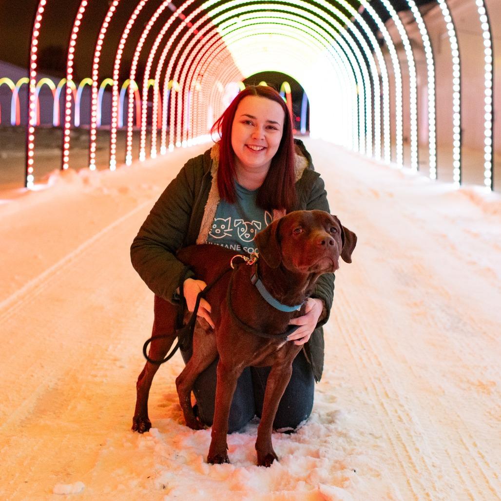 Enlarge CJ, a Adoptable Mixed Breed in Grand Rapids, MI image 5/6