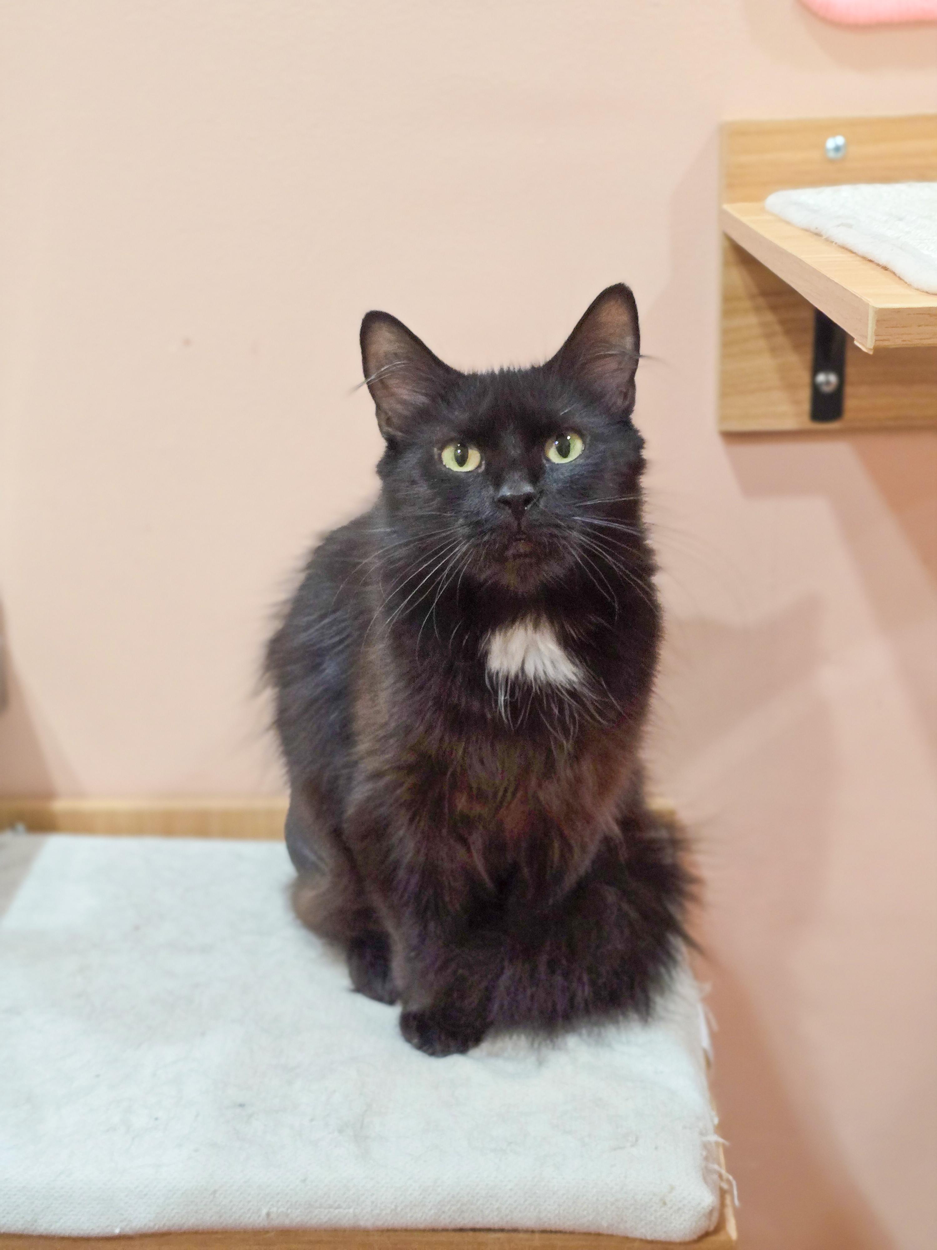 Agatha