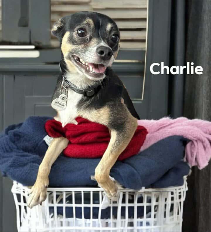 Charlie