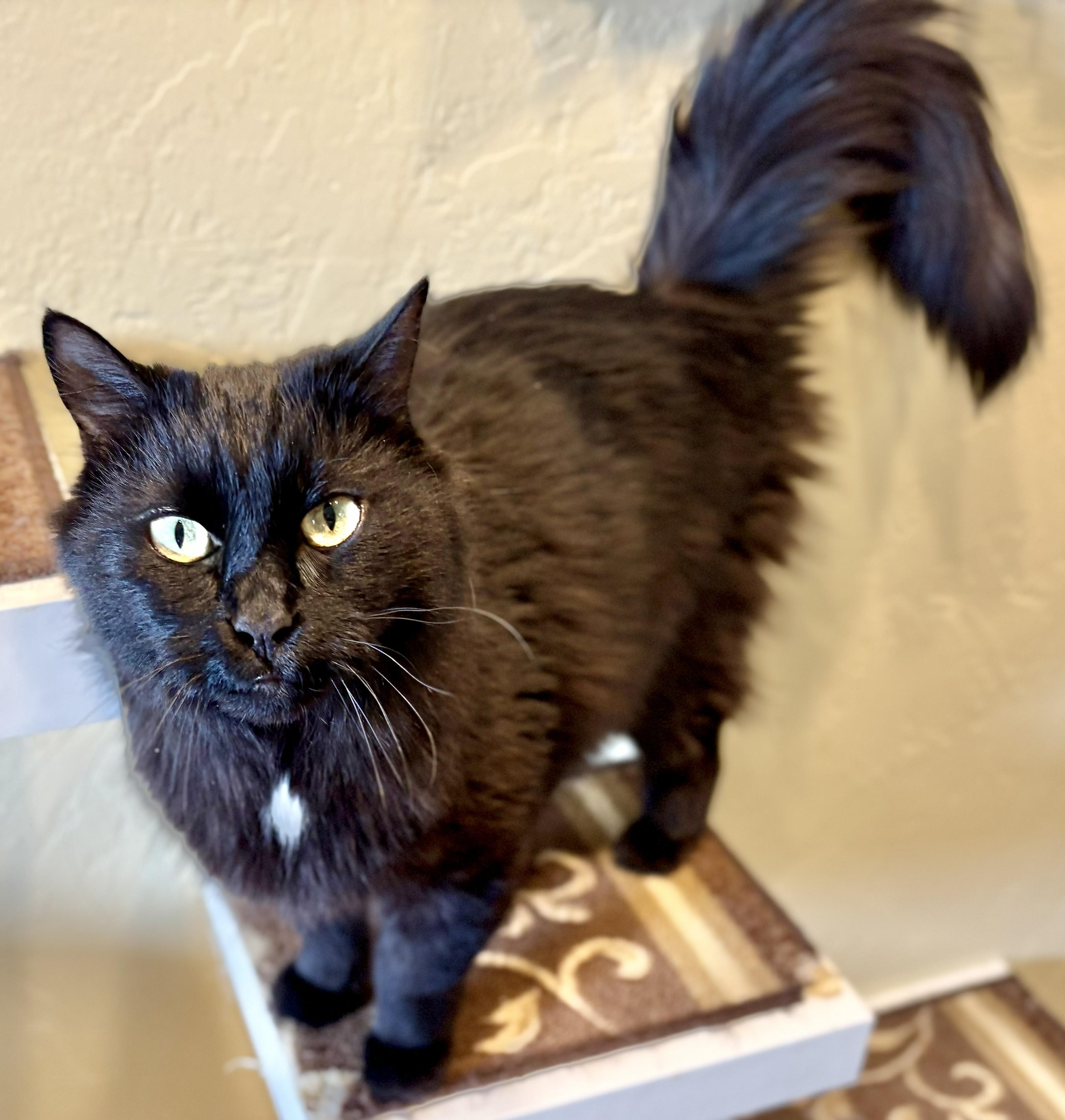 Smoke & Dulce  thumbnail 2