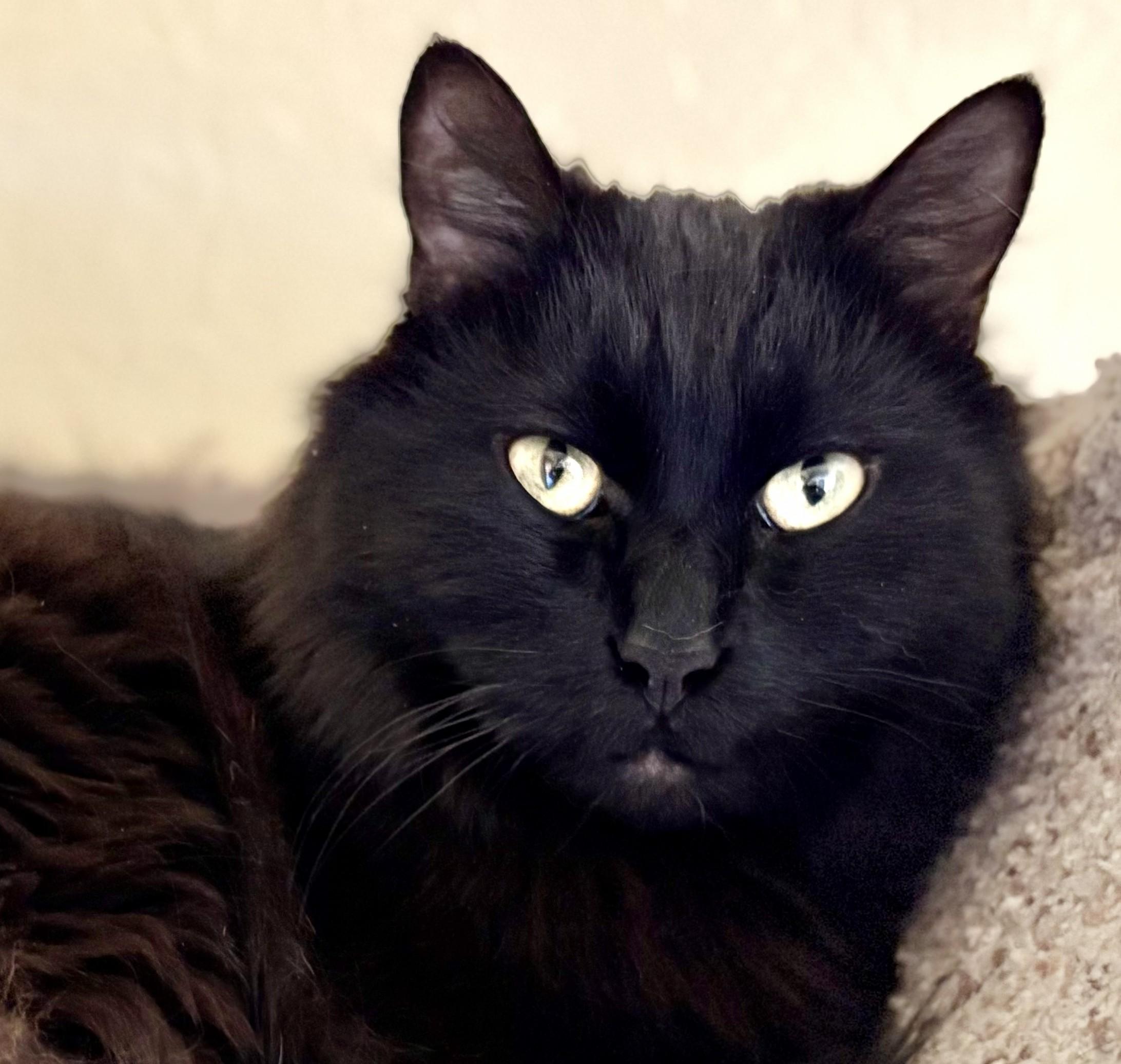 Smoke & Dulce  thumbnail 3