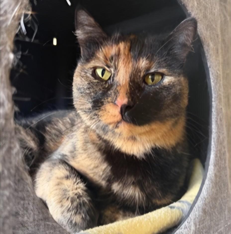 Smoke & Dulce  thumbnail 6