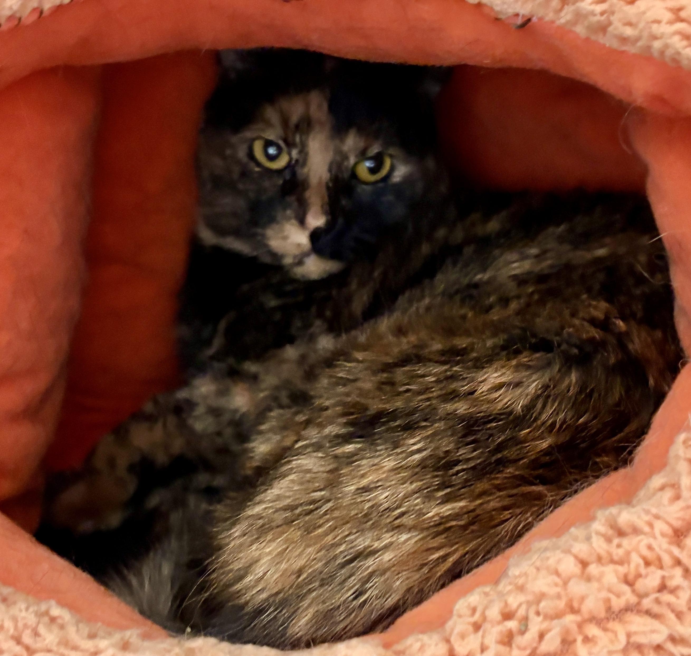 Smoke & Dulce  thumbnail 7