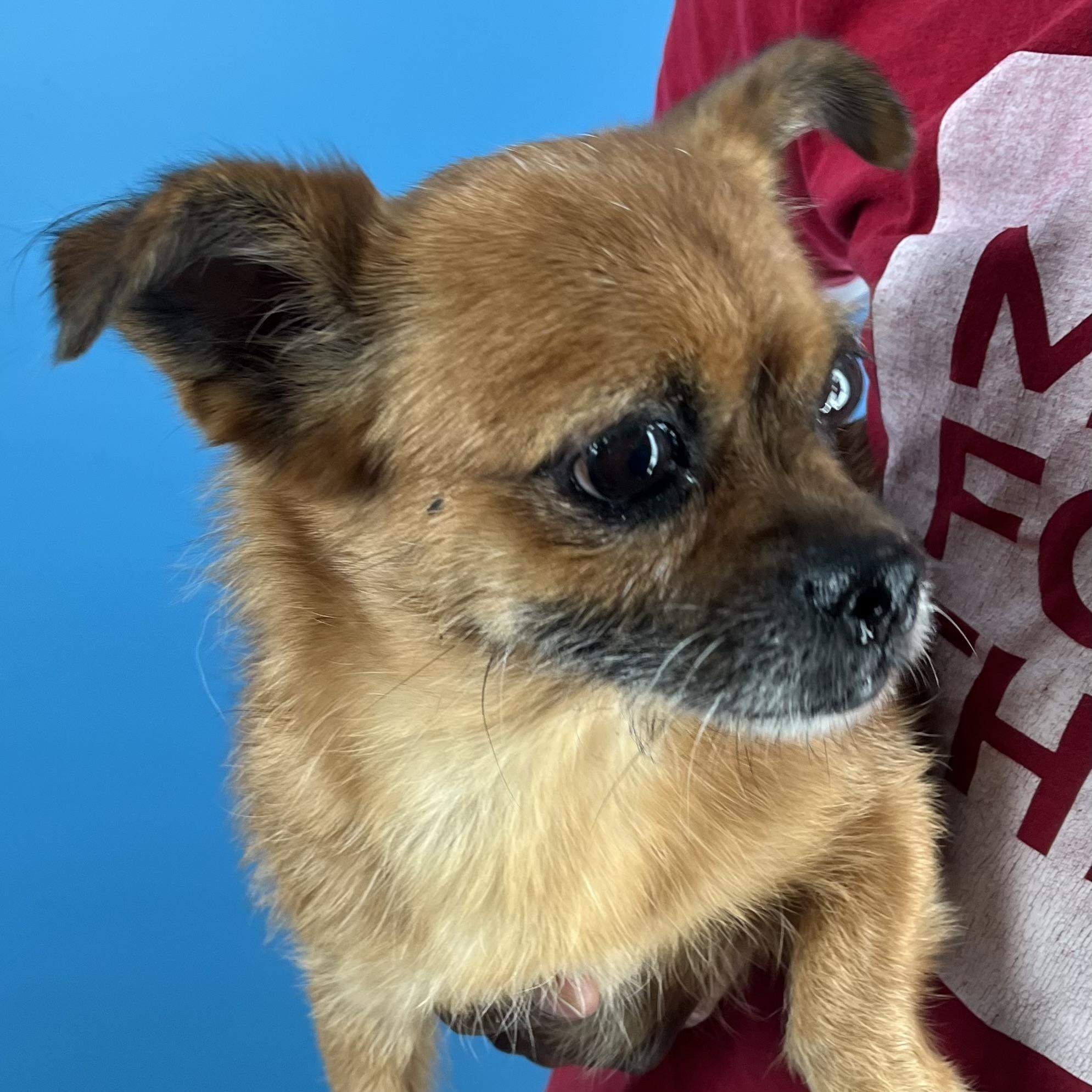 Nina - Local Sept 26-28