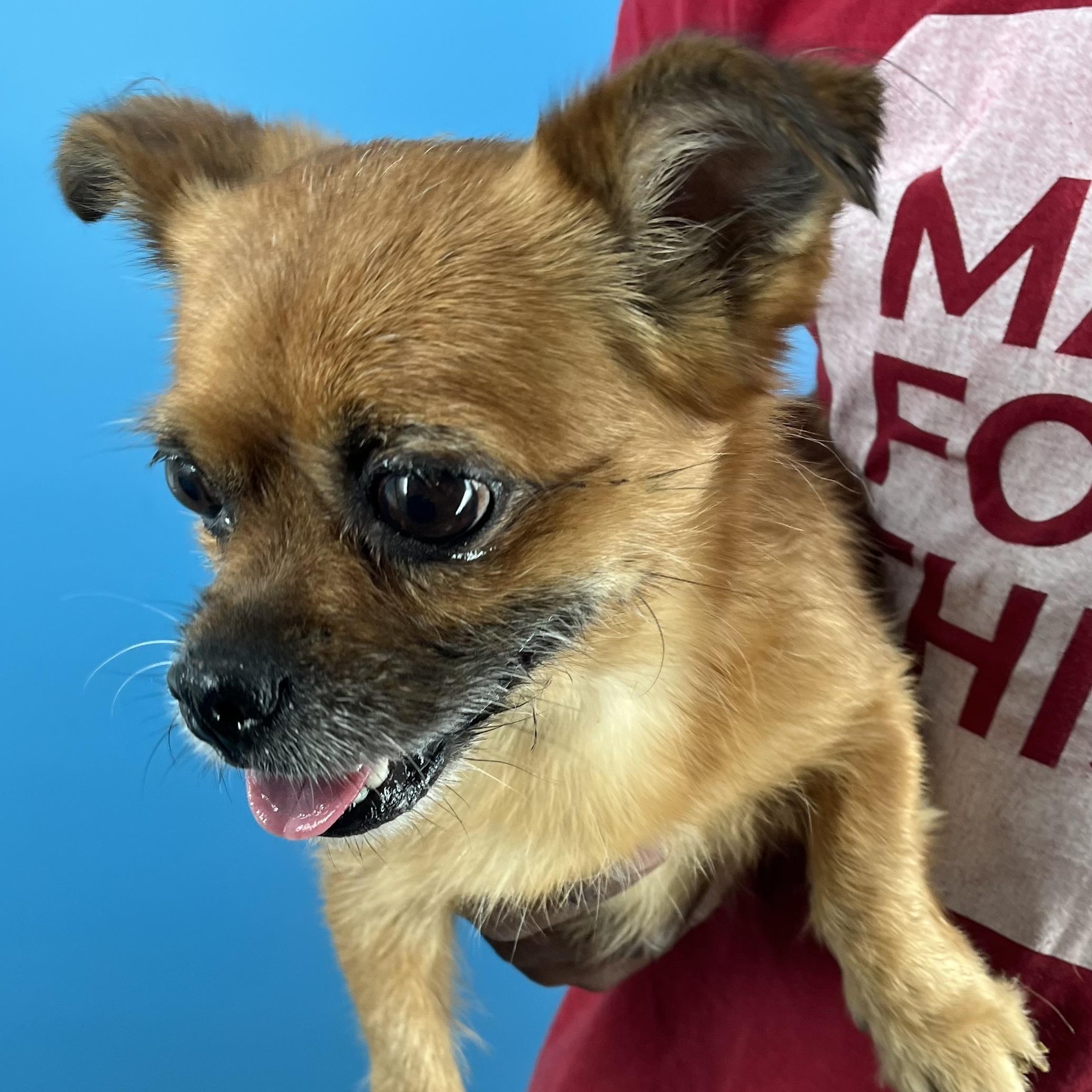 Nina - Local Sept 26-28