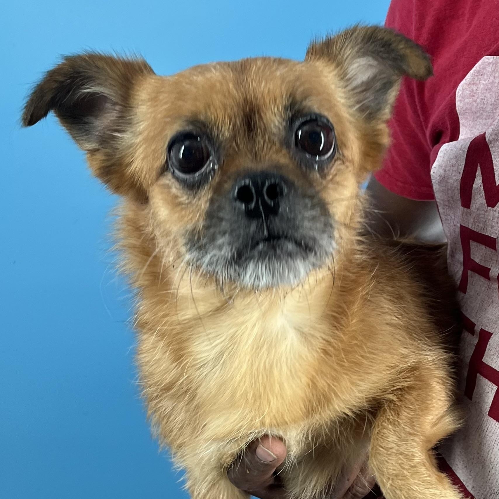 Nina - Local Sept 26-28