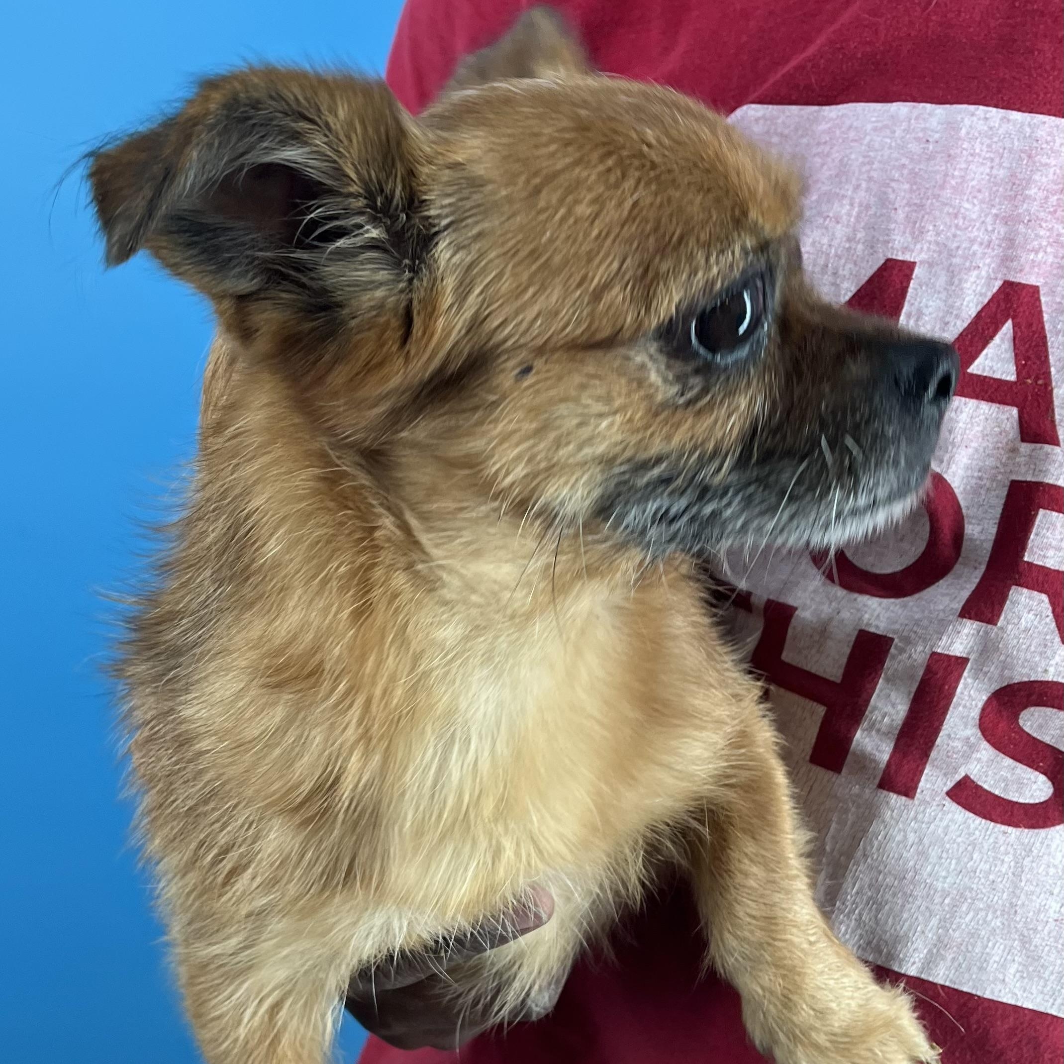 Nina - Local Sept 26-28