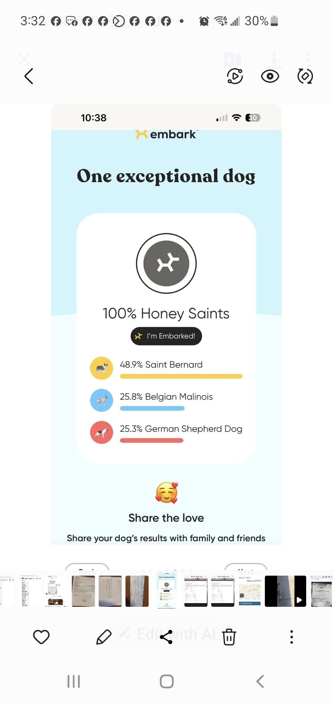 Enlarge Roo, a Adoptable mixed breed in Bellflower, CA image 1/4