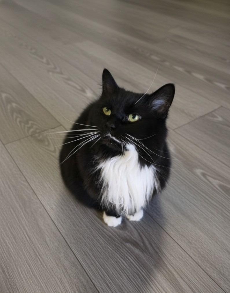 Tiana — thumbnail 3