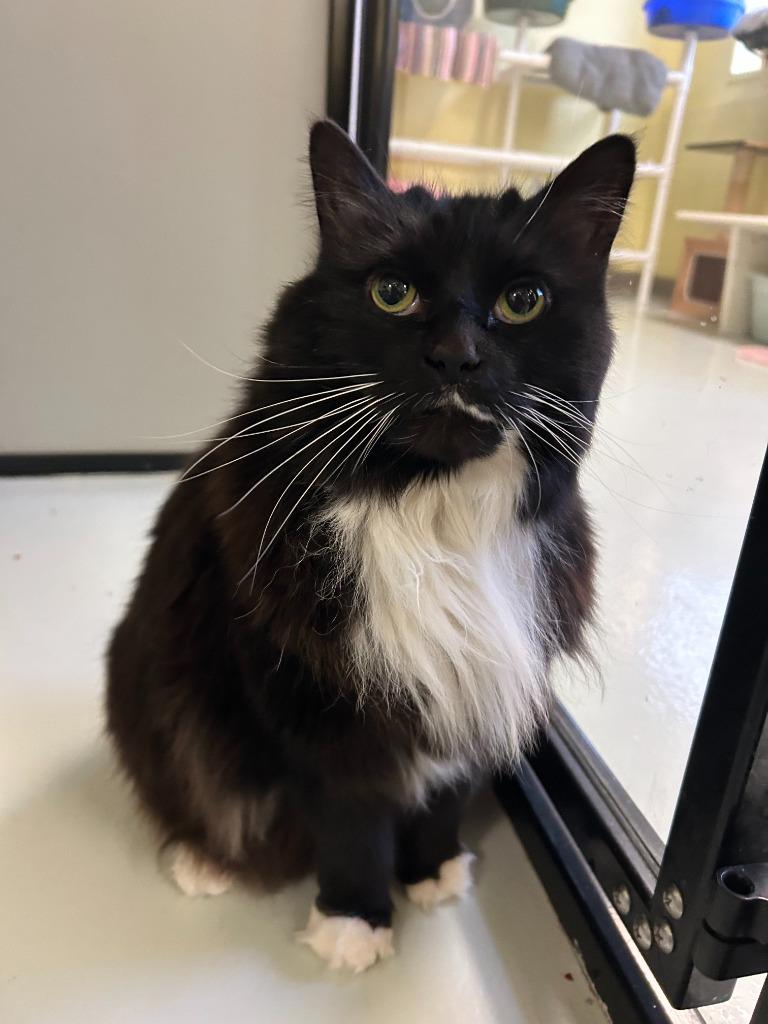 Tiana — thumbnail 5