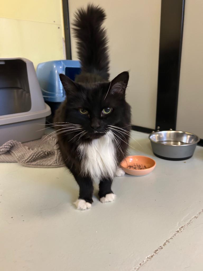 Tiana — thumbnail 6