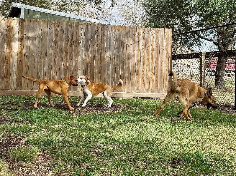 Ali Belle — thumbnail 2