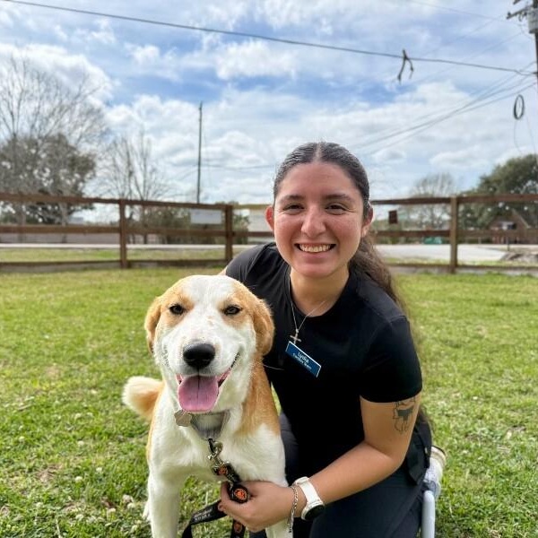 Ali Belle — thumbnail 4