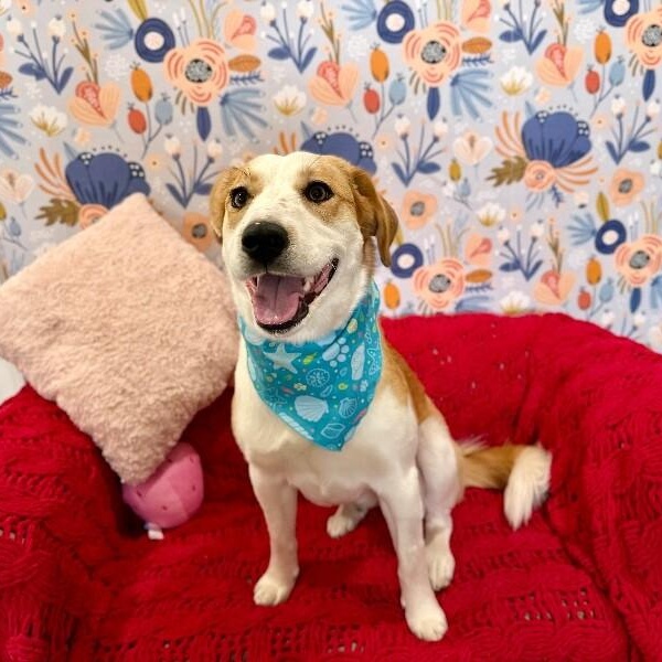 Ali Belle — thumbnail 5