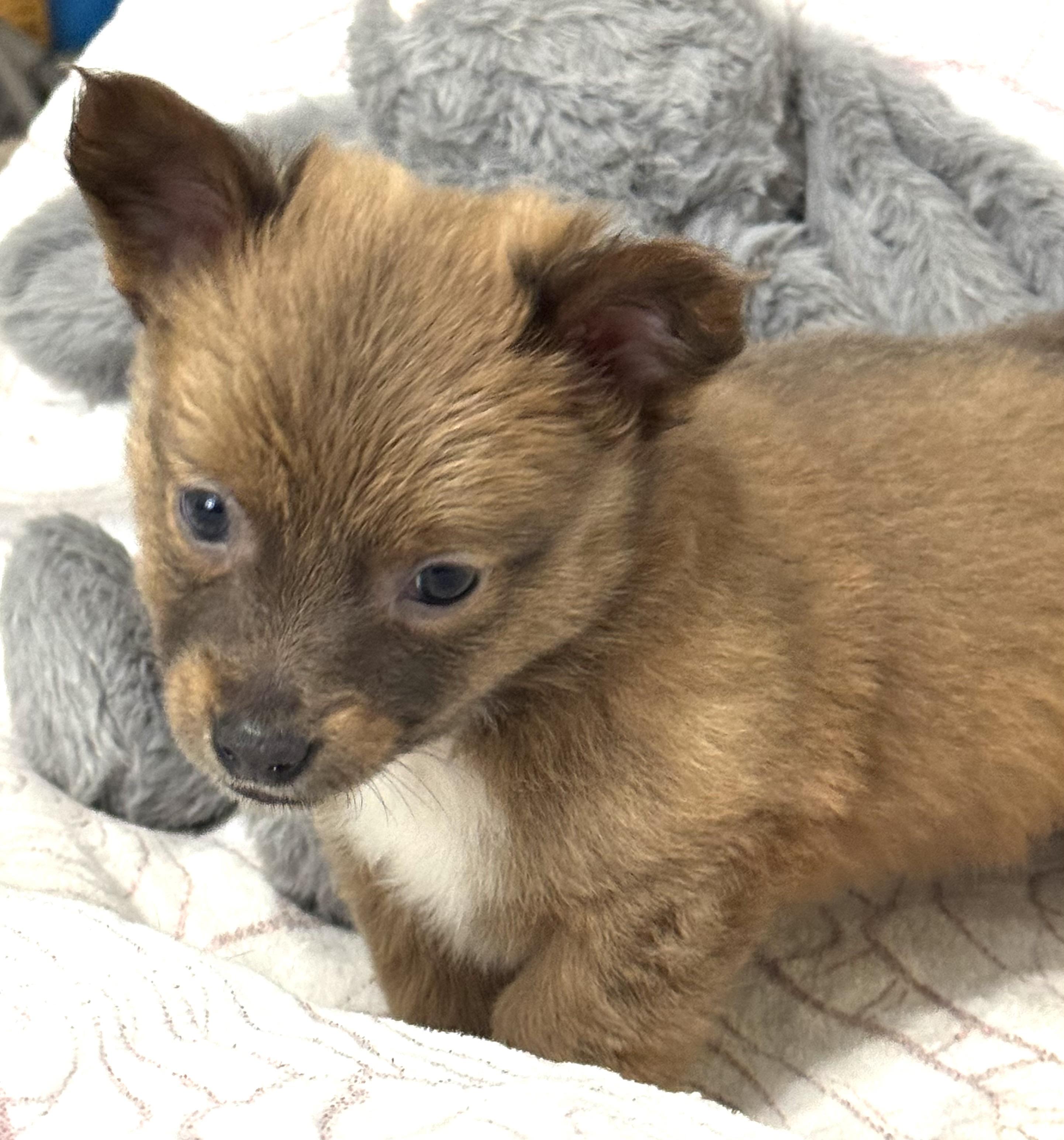 Sassy Pants thumbnail 5