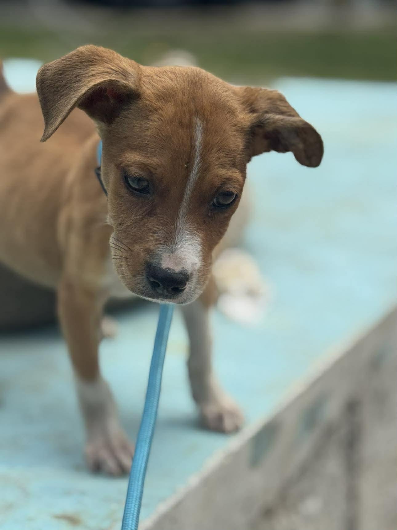 Cennet (20260219-08) — thumbnail 3