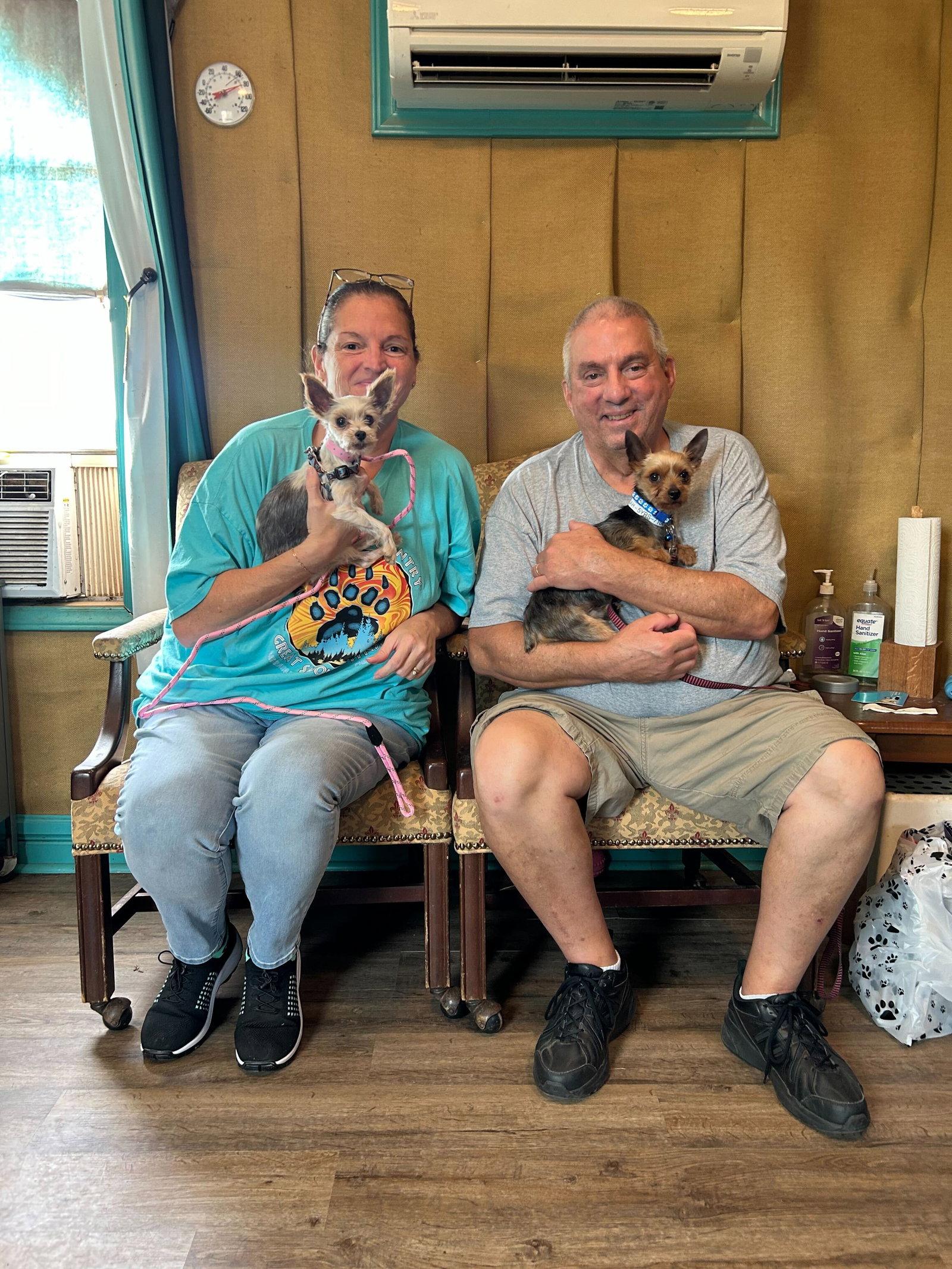 Enlarge Ophelia Mar 26 - PHOTOS + DESCRIPTION, a Adopted Yorkshire Terrier in Pacolet, SC image 2/2