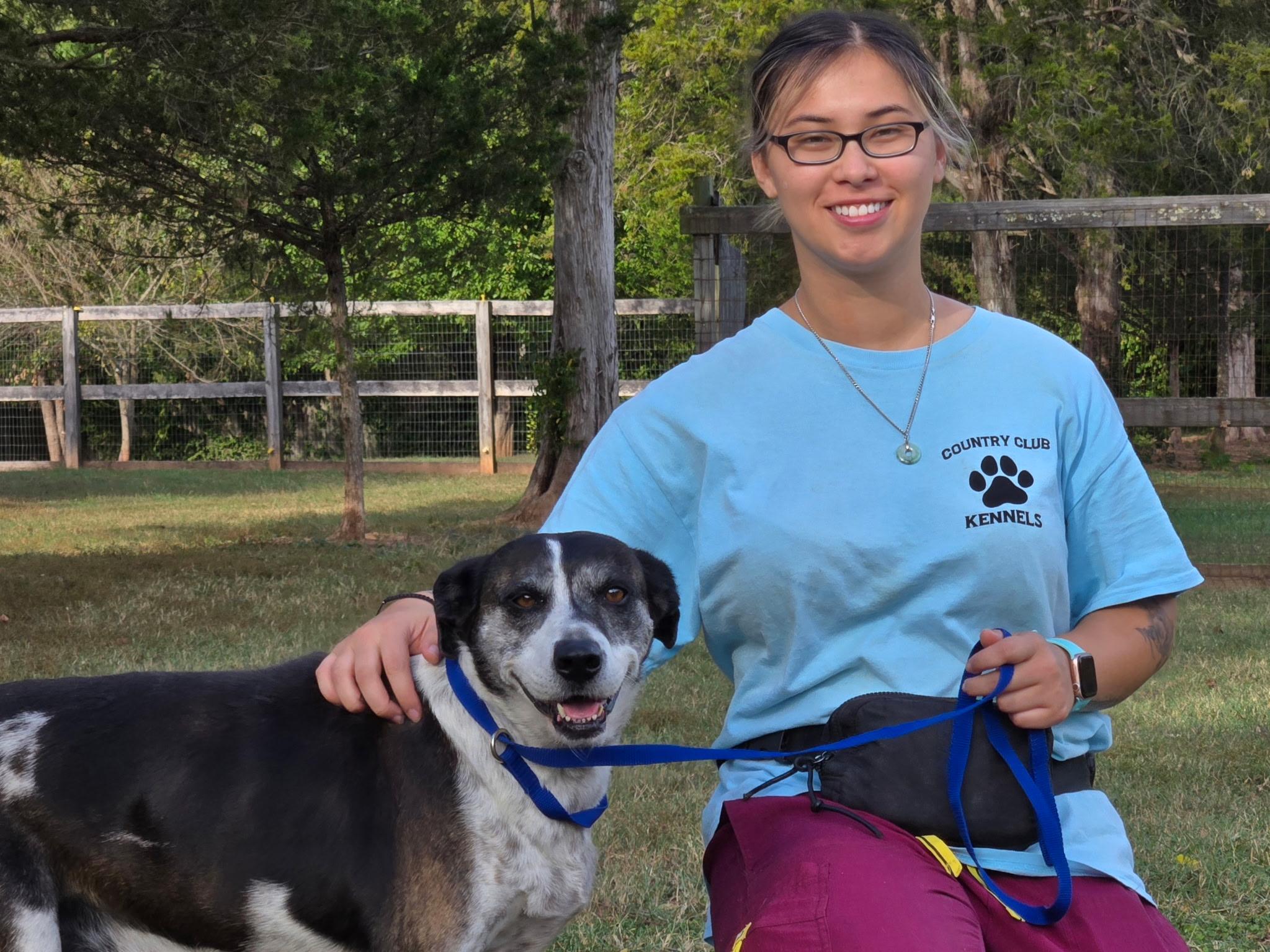 Enlarge Daisy, a Adopted mixed breed in Catlett, VA image 3/3