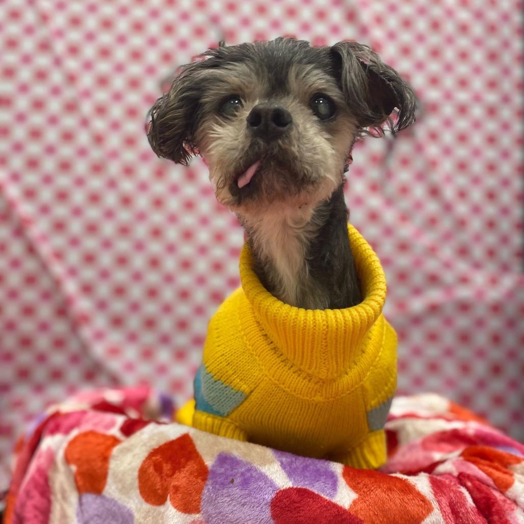 Mocha — thumbnail 2