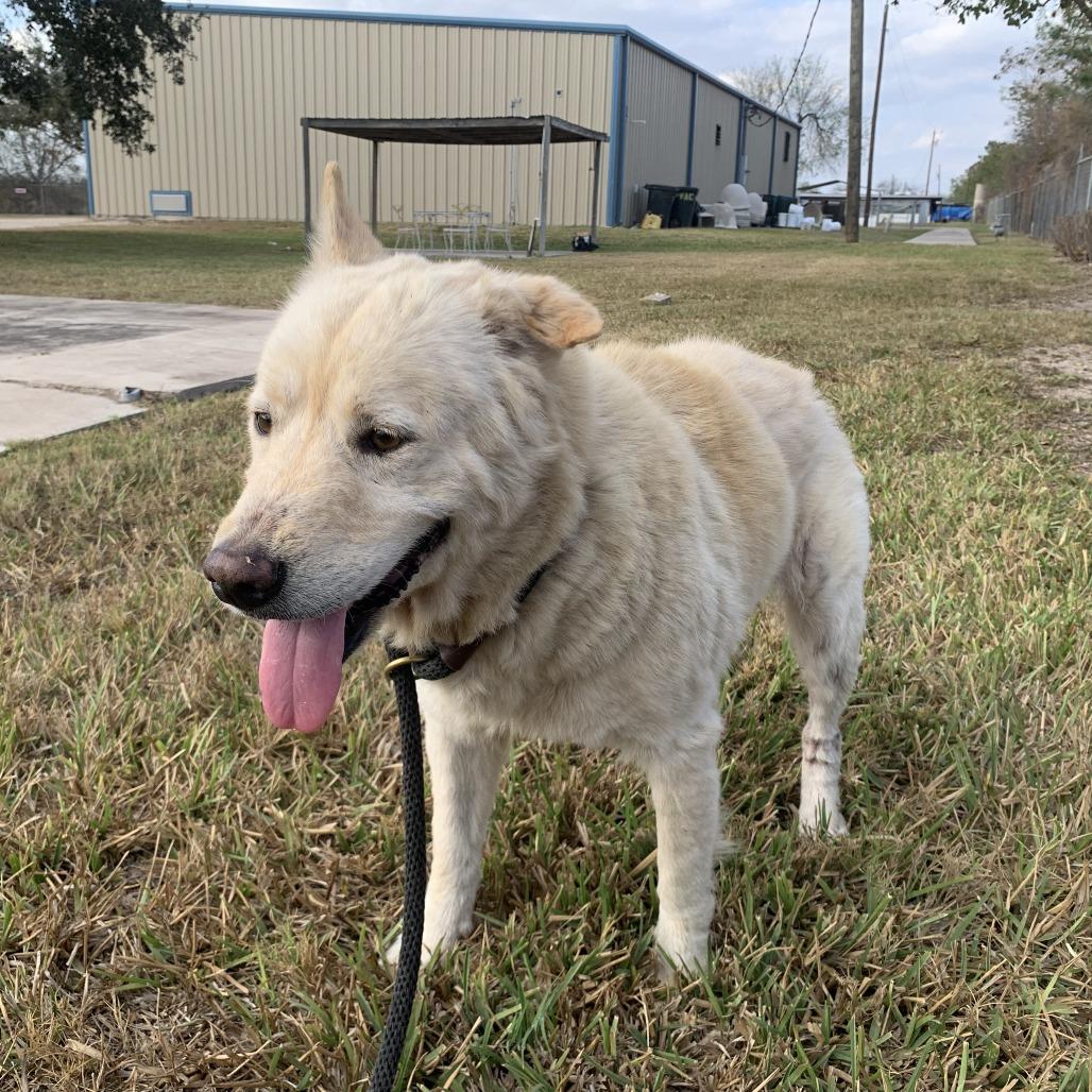 Megara — thumbnail 2