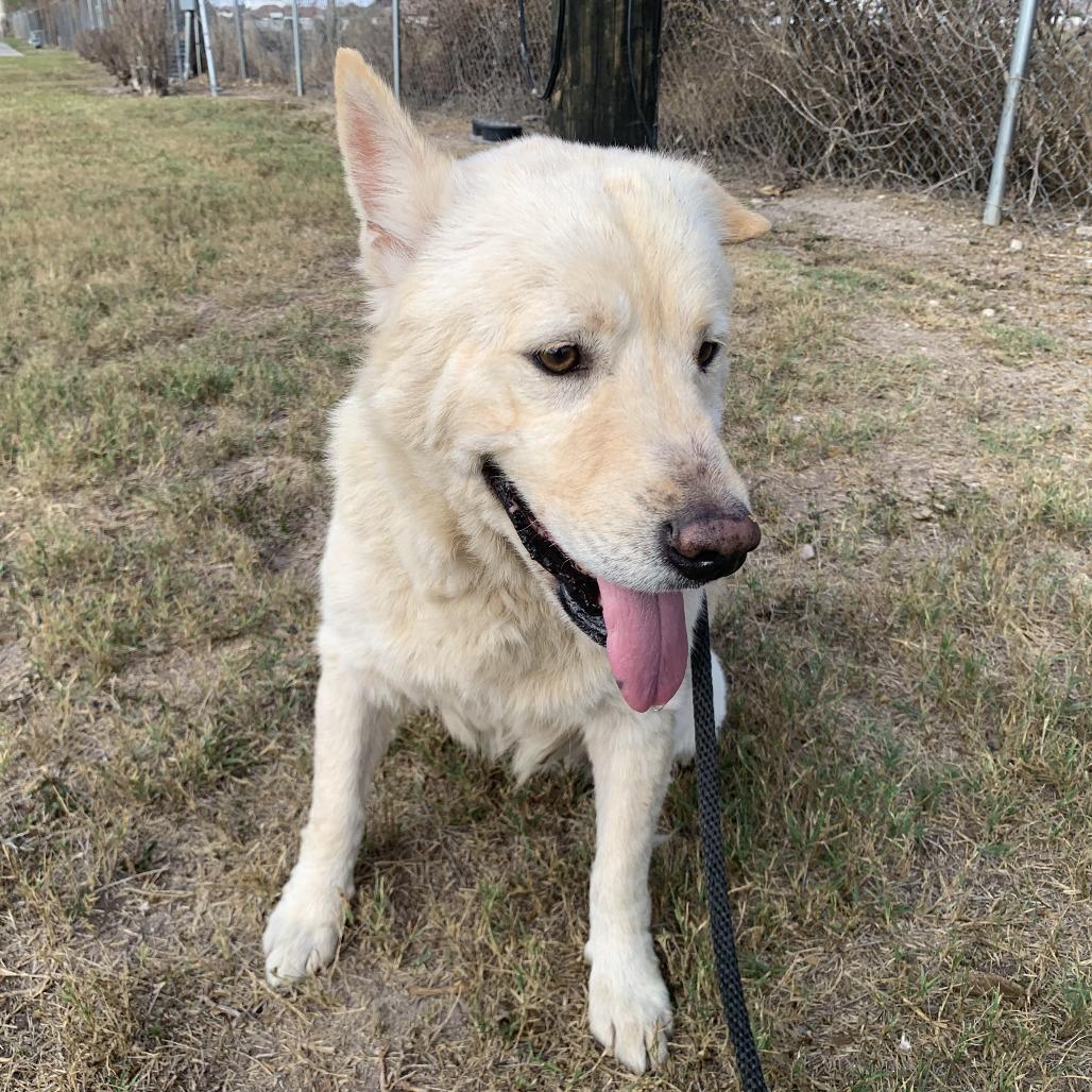 Megara — thumbnail 4